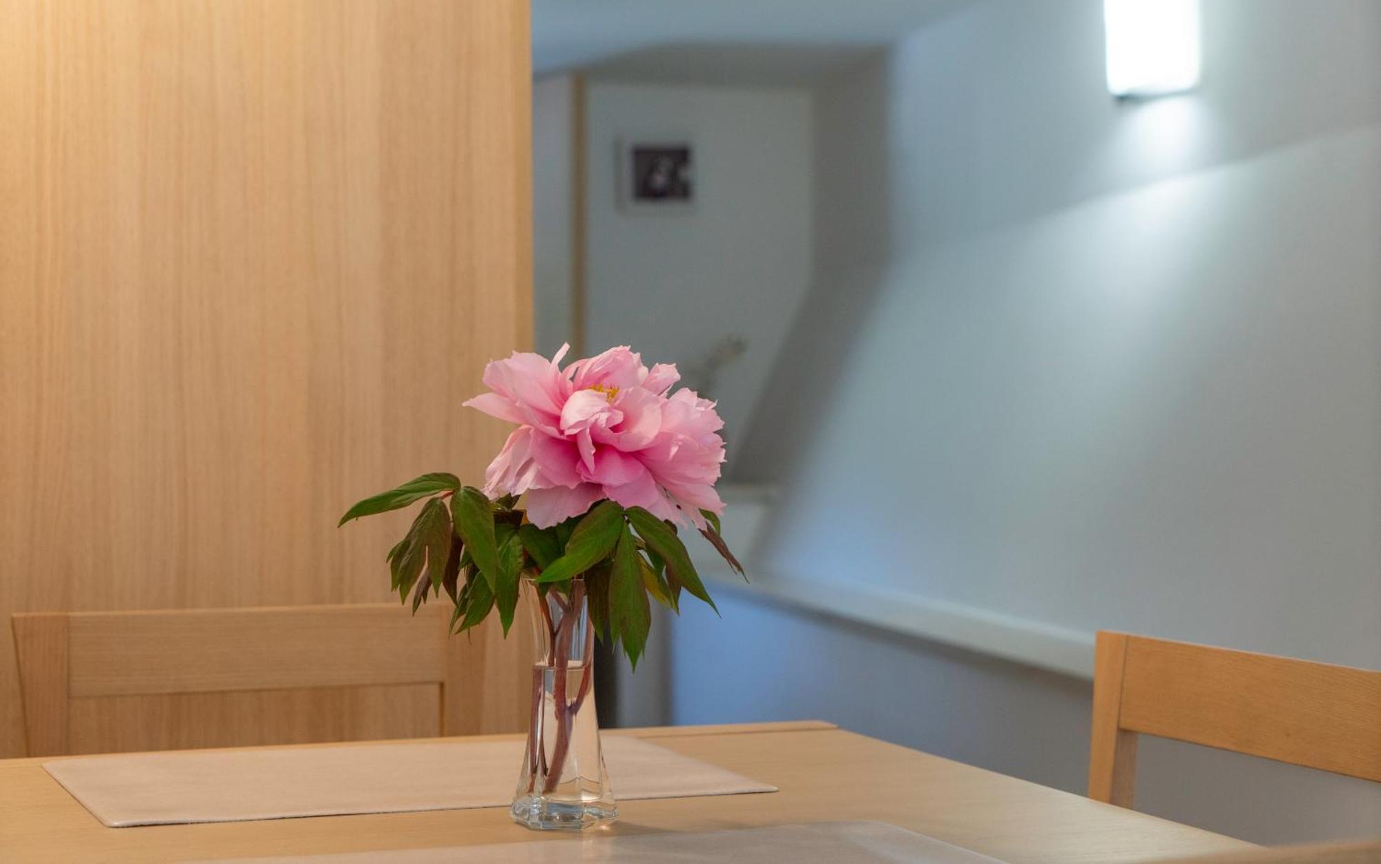 Apartments Lila Црес Номер фото